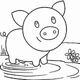 Pigs Coloring Pages Printable sketch template
