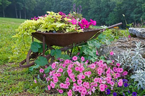 25 Wheelbarrow Planter Ideas for Your Garden - Garden Lovers Club