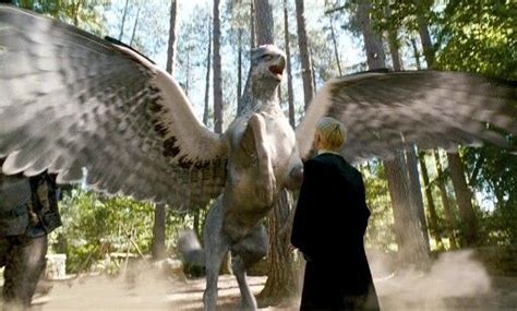 Buckbeak & Draco | Prisoner Of Azkaban | Harry potter, Harry potter film, Harry potter movies