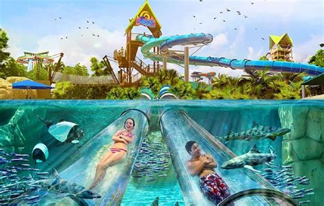 Aquatica, Orlando Florida: SeaWorld's Water Park