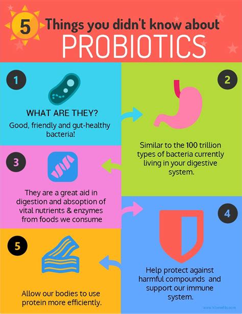 Find out the benefits of probiotics | Probiotics, Best probiotic, Holistic nutrition