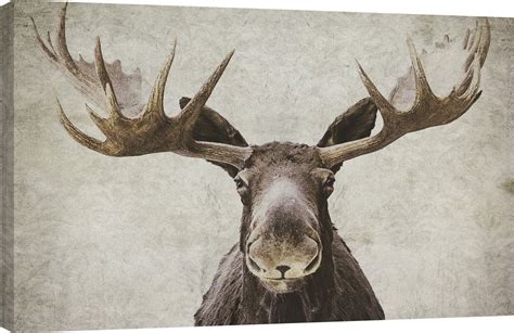 Wildlife and Lodge 'Elmer' Painting Print on Wrapped Canvas | Moose art ...