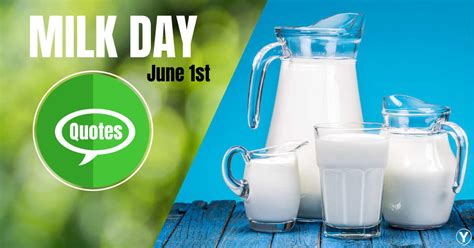 World Milk Day Quotes & Messages To Realize The Role of Milk in Our Lives