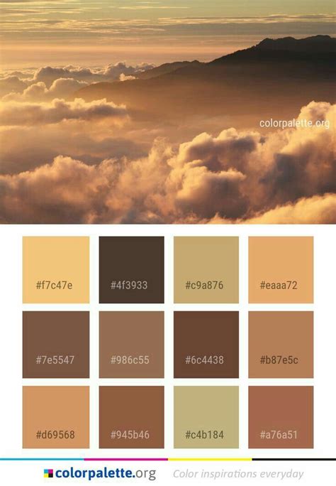 Pin by Martti Ojamaa on Colors | Sepia color, Nature color palette, Color palette design