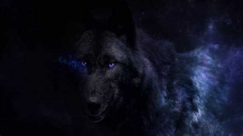 Wolf Backgrounds (81+ images)