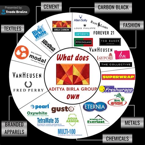 What does Aditya Birla Group own - Trade Brains