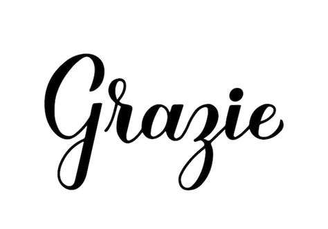 Premium Vector | Thank you calligraphy hand lettering in italian language isolated on white ...