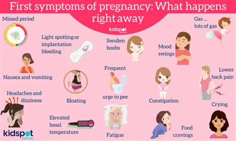 pregnancy symptoms after ovulation - prenatal vitamins