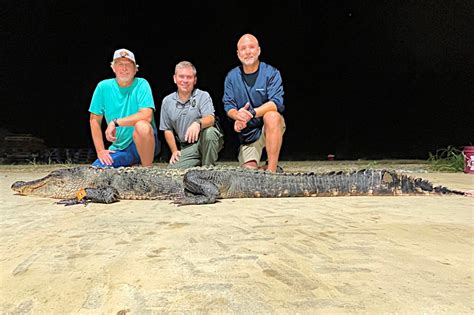 North Carolina Allows Alligator Hunting for First Time in Over 40 Years - Wide Open Spaces