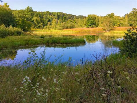 10 Things to Know Before Backpacking the Manistee River Trail | Bustlingabroad