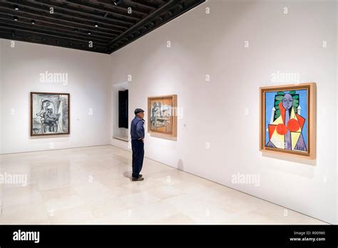 Malaga, Picasso Museum. Visitor in a gallery at the Museo Picasso, Malaga, Costa del Sol ...