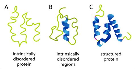 Are intrinsically disordered proteins the key to treating COVID-19? | CAS