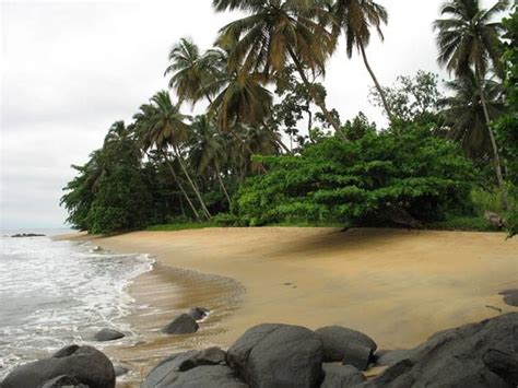 Plage Kribi au Cameroun | Cool places to visit, Places to visit, Beautiful places to visit