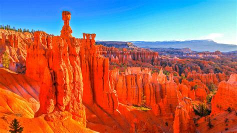 De BESTE Buiten de gebaande paden Bryce Canyon National Park van 2022 ...