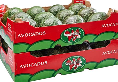 Westfalia Fruit investment aims to boost avocado growth | The Packer