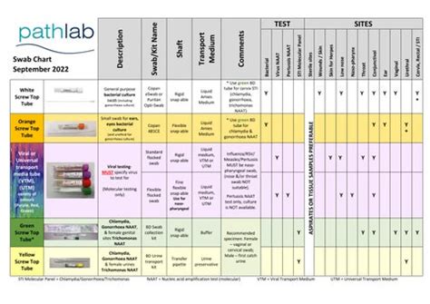 PAL Swabs Chart - September 2022 by WBOP PHO - Issuu