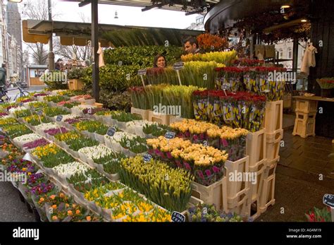 Amsterdam Flower Market Stock Photo - Alamy