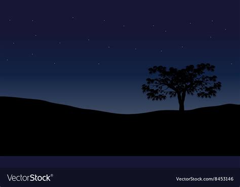 Tree in night scenery Royalty Free Vector Image