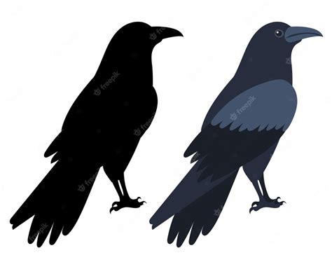 Premium Vector | Crow flat design isolated on white background vector