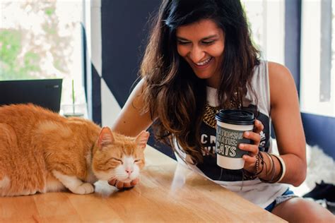 L.A's First-Ever Cat Cafe is Coming to Melrose Ave