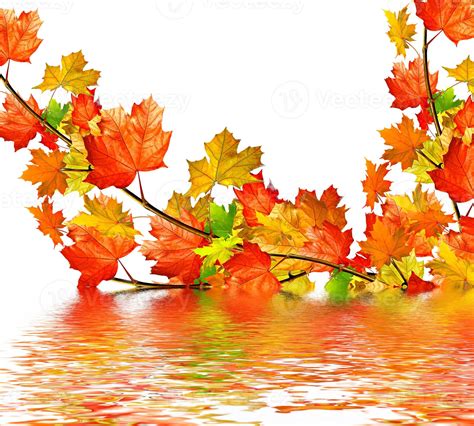 autumn leaves isolated on white background. 9868750 Stock Photo at Vecteezy