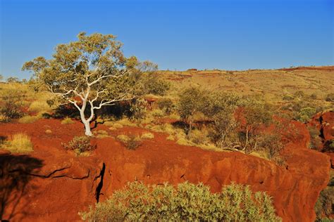 Bushwalk in Australia's outback - Global Medical Staffing Blog