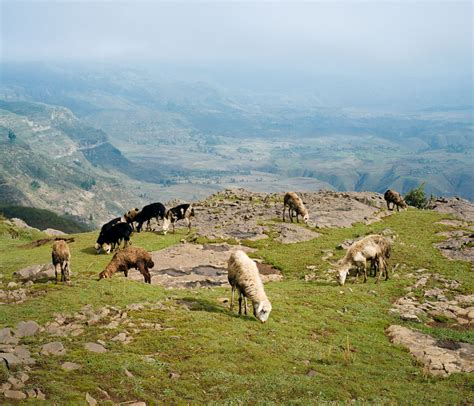 Trekking the Wollo Highlands | Kyler Deutmeyer Photography | Denver, Colorado