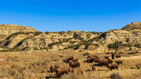 Medora Travel Guide | Medora Tourism - KAYAK