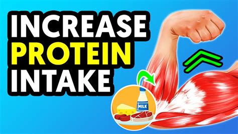 10 Ways To Up Your Protein Intake For Muscle Gain - YouTube