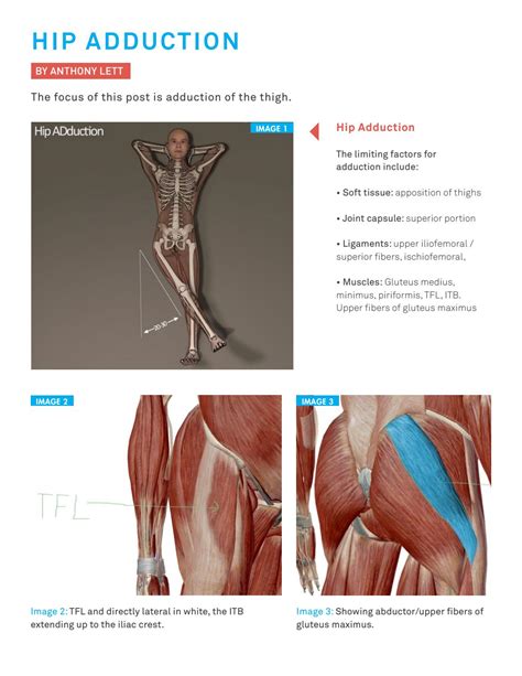 Hip Adduction by Innovations in Pilates - Issuu