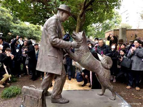 Hachiko Statue Tokyo, Hachiko Japanese Statue, Hachiko Shibuya Statue