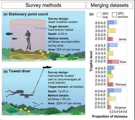 Survey method influences estimated trophic structure of coral reef fish... | Download Scientific ...