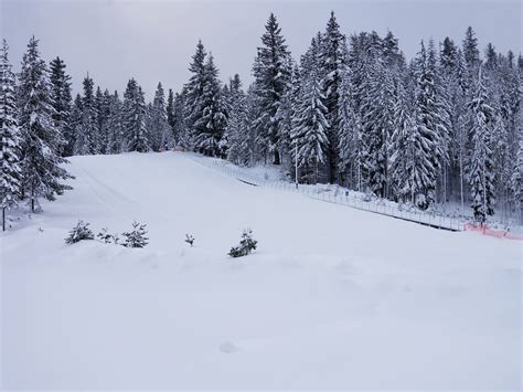 Winter Recreation - Diamond Lake Resort - Restaurant in OR