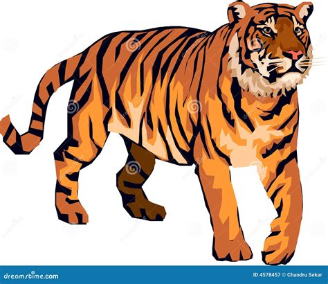 Tiger Cartoon Vector | CartoonDealer.com #21573447