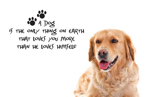 Dog quotes, Famous dogs, Funny quotes