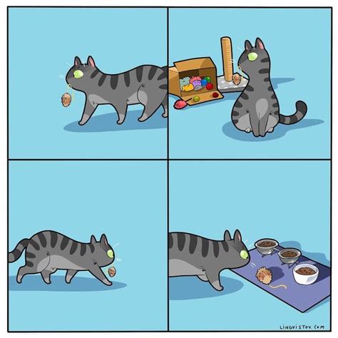 Charming Cat Comics Are Instantly Relatable to Any Feline Pawrent | My Modern Met