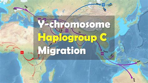 Haplogroup Chart