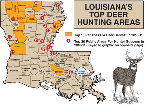 Louisiana Deer Hunting Area Map