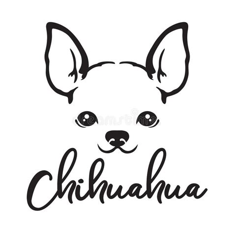 660+ Chihuahua Free Stock Photos - StockFreeImages