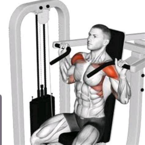 Shoulder Press ( Machine ) by David M. - Exercise How-to - Skimble