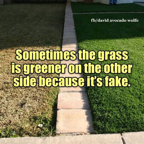 Sometimes Grass Is Greener On The Other Side Because Its Fake Pictures ...