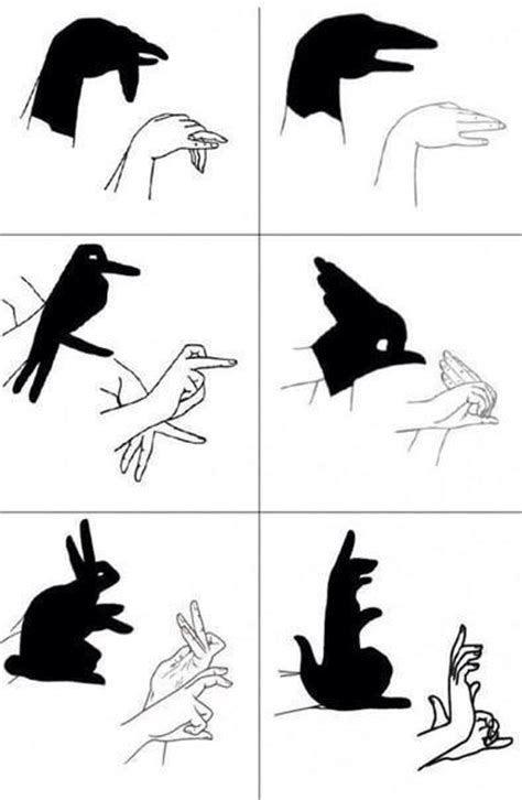 How to make simple hand shadows. Surprise your kids 🐶🐺🐭🐘🐗🐸🐒🐥🐠🐢🐇🐎🐀🐈🐌🐴🐰 ...