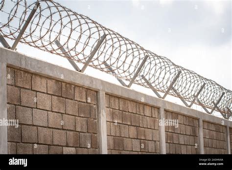 Clôture en béton blanc avec du fil de fer barbelé Photo Stock - Alamy