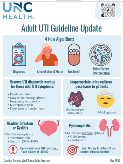 Uti Treatment Guidelines 2024 - Chlo Melesa