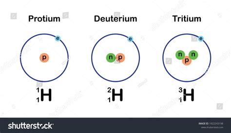 Three Isotopes Hydrogen Stock Vector (Royalty Free) 1922243198 | Shutterstock