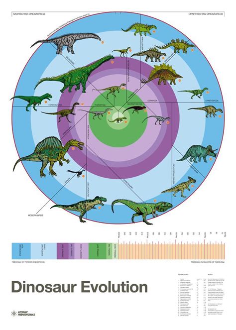 Atomic Printworks - Dinosaur Evolution Poster | History posters, Poster ...