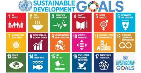 E-government a powerful tool to implement global sustainability goals, UN survey finds | UN News