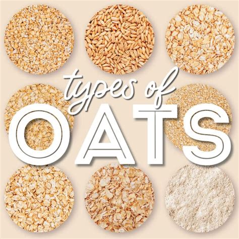 8 Types Of Oats & How To Use Them (With Photos!) | Live Eat Learn