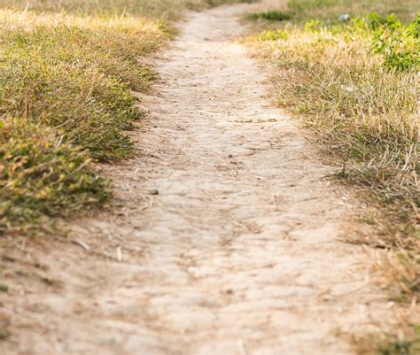 Free photo: Dirt Path - Blue, Park, Tree - Free Download - Jooinn