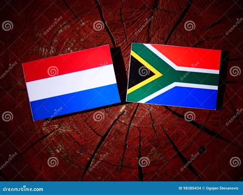 Dutch Flag with South African Flag on a Tree Stump Isolated Stock Photo ...